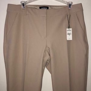 Express Columnist Barely Boot Dress Pants